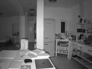 voyeurcam-celticiron-02