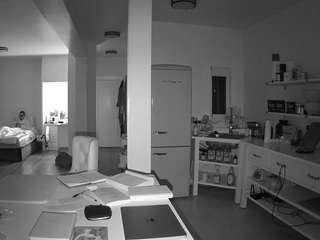 voyeurcam-celticiron-02