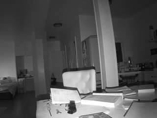 voyeurcam-celticiron-02