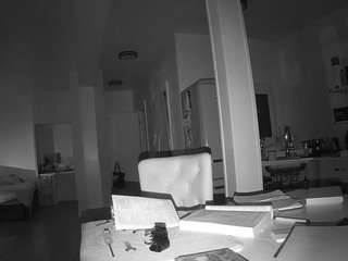 voyeurcam-celticiron-02