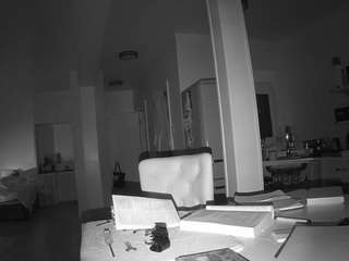 voyeurcam-celticiron-02