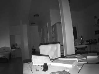 voyeurcam-celticiron-02