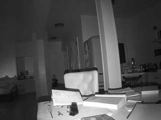 voyeurcam-celticiron-02