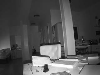 voyeurcam-celticiron-02