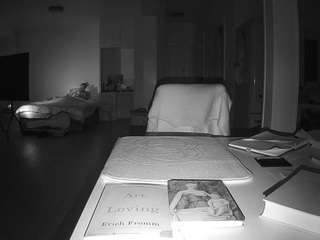 voyeurcam-celticiron-02