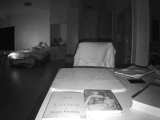 voyeurcam-celticiron-02