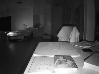 voyeurcam-celticiron-02