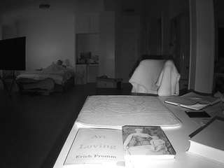 voyeurcam-celticiron-02