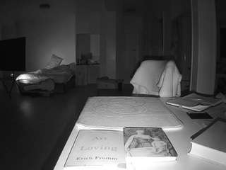 voyeurcam-celticiron-02