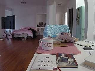 voyeurcam-celticiron-02