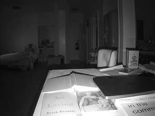 voyeurcam-celticiron-02