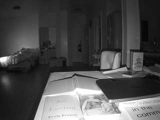 voyeurcam-celticiron-02