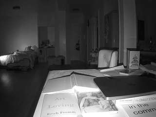 voyeurcam-celticiron-02