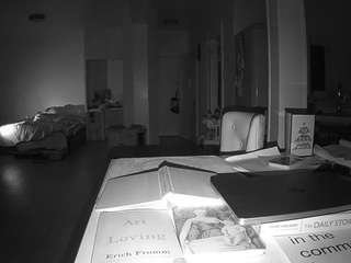 voyeurcam-celticiron-02