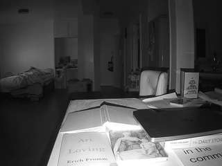 voyeurcam-celticiron-02