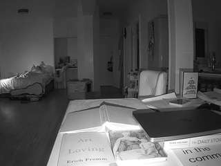 voyeurcam-celticiron-02