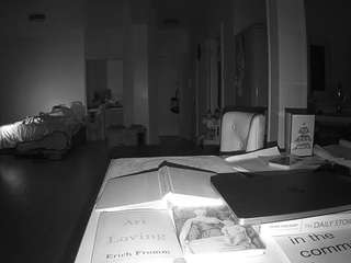 voyeurcam-celticiron-02