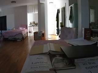 voyeurcam-celticiron-02