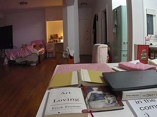 voyeurcam-celticiron-02