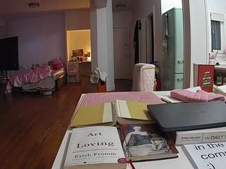 voyeurcam-celticiron-02