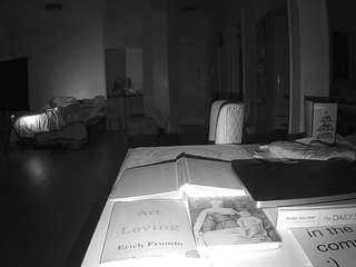 voyeurcam-celticiron-02