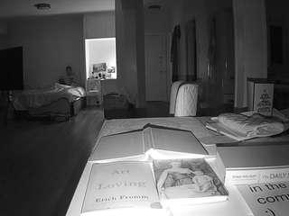 voyeurcam-celticiron-02