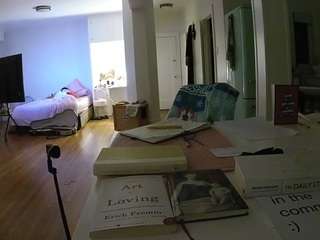 voyeurcam-celticiron-02