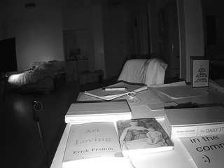 voyeurcam-celticiron-02