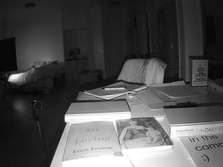 voyeurcam-celticiron-02