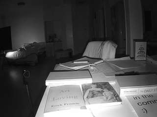 voyeurcam-celticiron-02