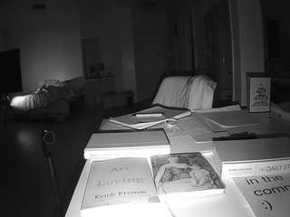 voyeurcam-celticiron-02