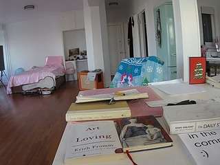 voyeurcam-celticiron-02