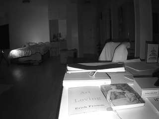 voyeurcam-celticiron-02