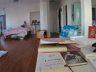 voyeurcam-celticiron-02