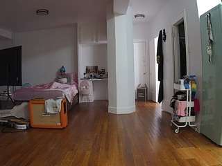 voyeurcam-celticiron-02