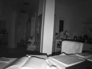 voyeurcam-celticiron-02