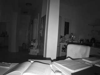 voyeurcam-celticiron-02