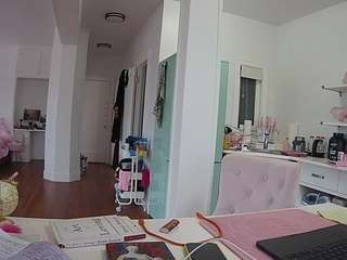 voyeurcam-celticiron-02