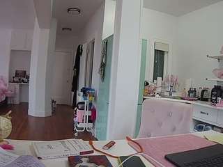 voyeurcam-celticiron-02