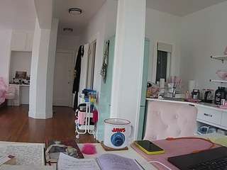 voyeurcam-celticiron-02