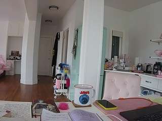 voyeurcam-celticiron-02