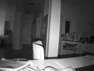 voyeurcam-celticiron-02