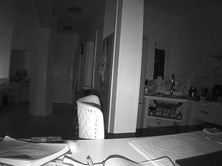 voyeurcam-celticiron-02