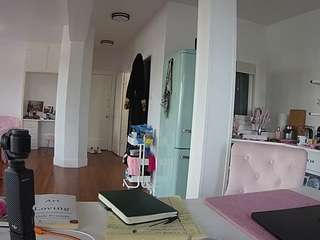 voyeurcam-celticiron-02