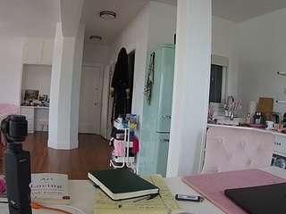 voyeurcam-celticiron-02