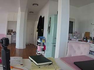 voyeurcam-celticiron-02