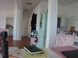 voyeurcam-celticiron-02