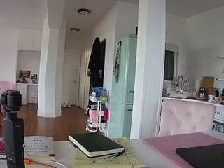 voyeurcam-celticiron-02