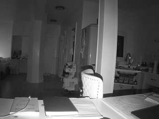 voyeurcam-celticiron-02