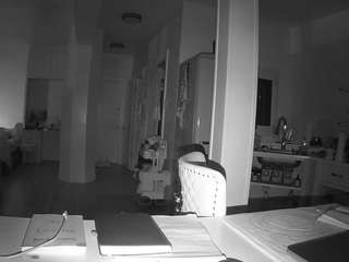 voyeurcam-celticiron-02